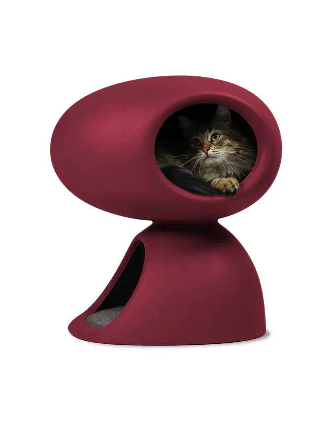 Katze liegt in moderner, weinroter Katzenhöhle aus Kunststoff auf weißem Hintergrund