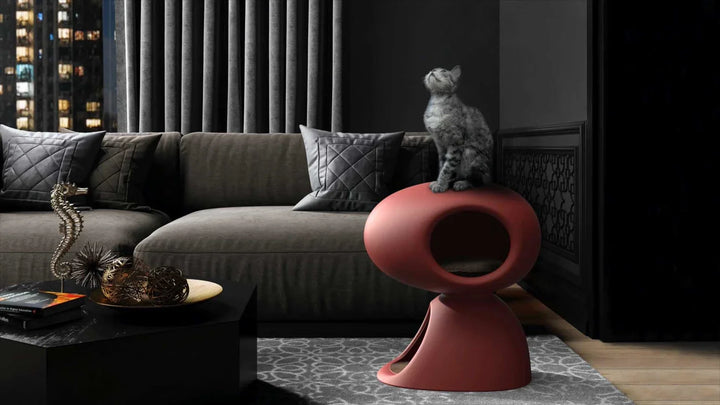 Graue Katze sitzt auf roter Katzenhöhle im modernen Wohnzimmer mit Sofa und Deko.